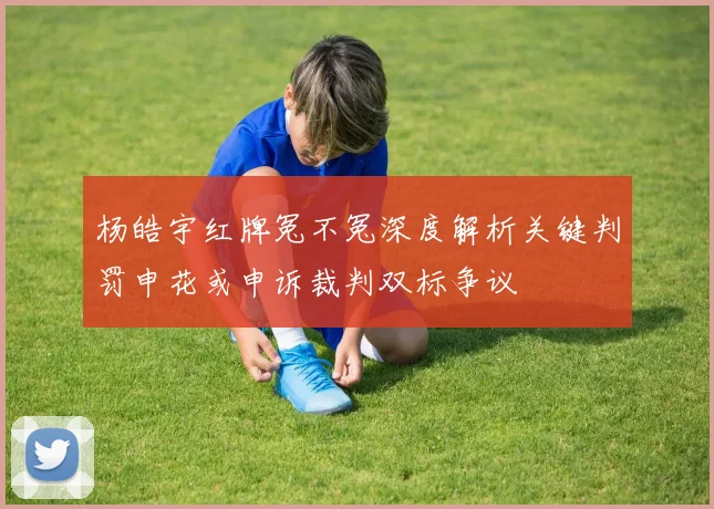 杨皓宇红牌冤不冤深度解析关键判罚申花或申诉裁判双标争议