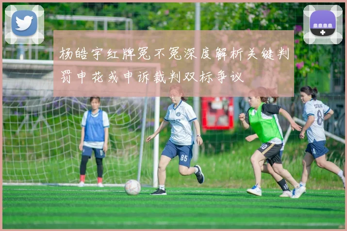 杨皓宇红牌冤不冤深度解析关键判罚申花或申诉裁判双标争议